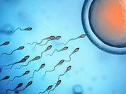 国内公立医院和机构为何限制开展三代试管技术？