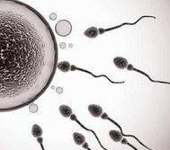 郴州做第二代试管婴儿需要多少钱？需要多长时间？