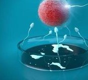 乙肝五项全阴性可以试管以及避免遗传吗？