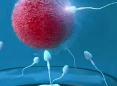 试管前男女方分别检查哪些项目？